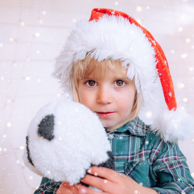 Big brown eyed boy, looking into the camera in the studio with a santa hat on whilst cuddling his toy panda.